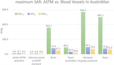 Radio-Frequency Safety Assessment of Stents in Blood Vessels During Magnetic Resonance Imaging